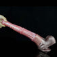 Bay Horse Dildo - Kentucky Derby