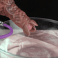 Ovipositor - Pandora With Pump