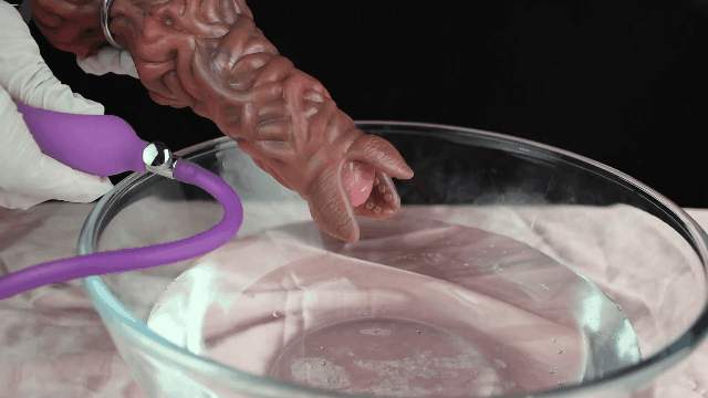 Ovipositor - Pandora With Pump